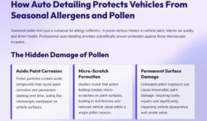 Auto Detailing Protects Vehicles From Seasonal Allergens and Pollen